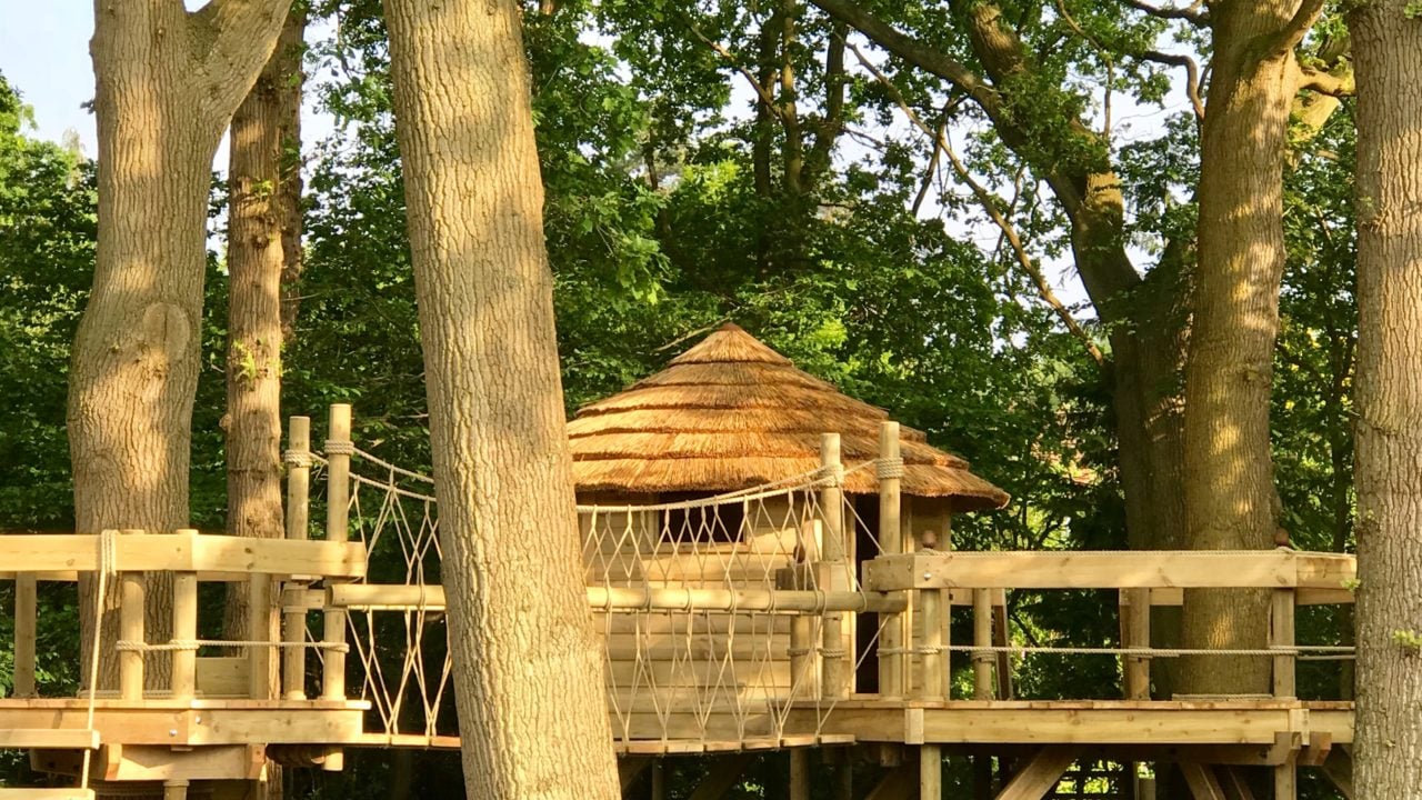 Thatched treehouse seen through oak trees. Created by Treehouse Life with thatch tiles provided by Africa Roofing UK